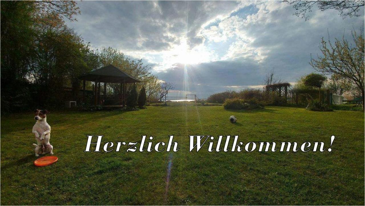 Villa Beata Nowe Warpno Esterno foto